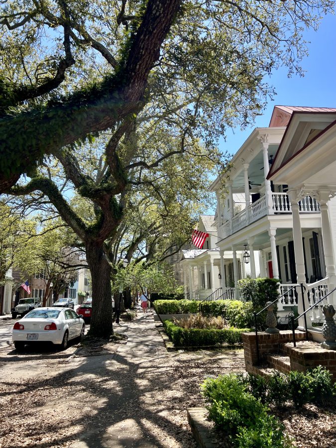 tree lined street of beautiful homes in charleston south carolina, south of broad neighborhood