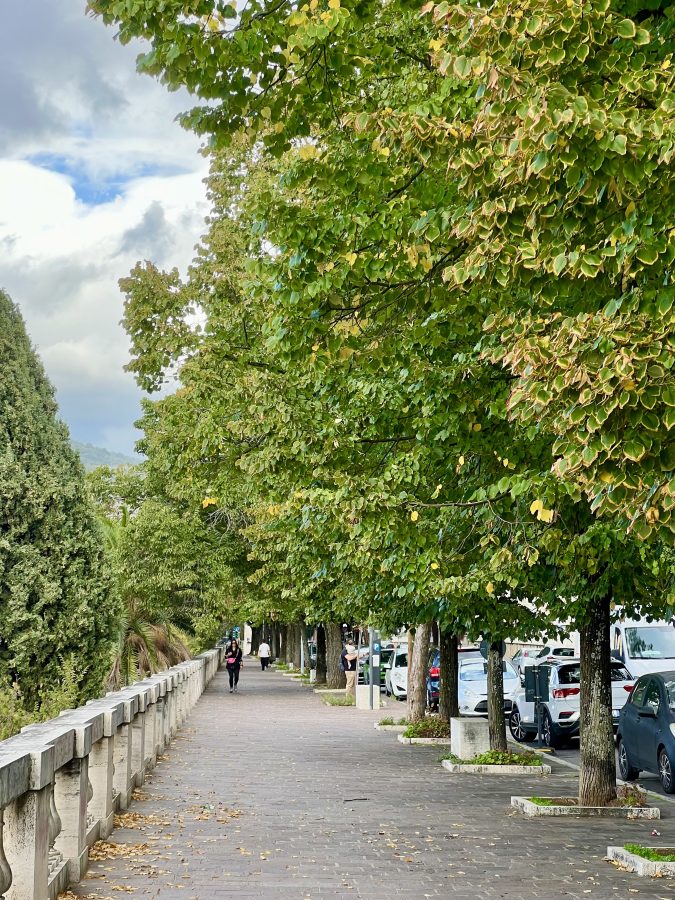 tree lined path at the edge of tivoli italy